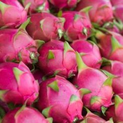 Fresh Dragonfruit - Thanh long đỏ tươi - 新鲜火龙果