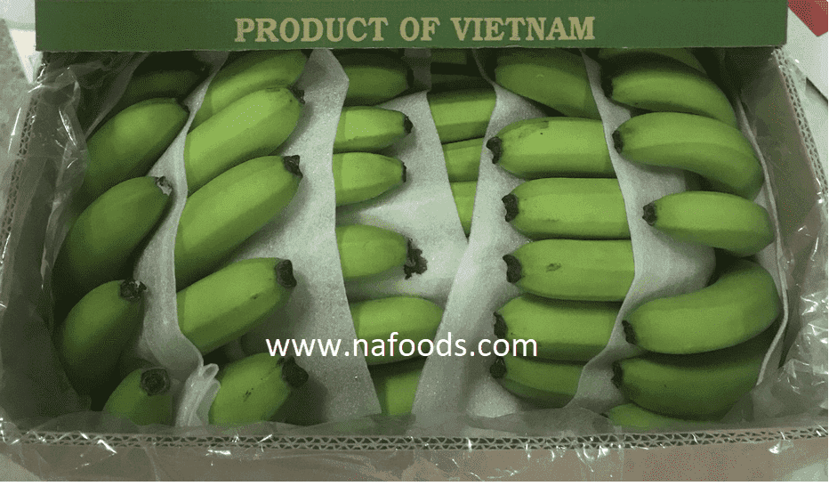 Chuối tươi - Image 2