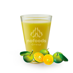Calamansi Puree/NFC Juice - Nước ép Puree/ NFC Tắc - 金橘原浆/ NFC果汁