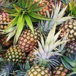 - Dứa tươi - 新鲜菠萝