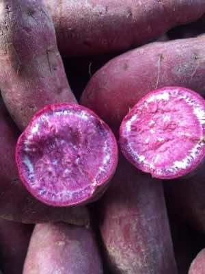 Purple Flesh Sweet Potato - Khoai Lang Tím - 紫皮地瓜