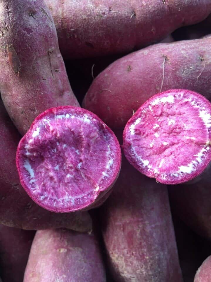 Purple Flesh Sweet Potato - Khoai Lang Tím - 紫皮地瓜