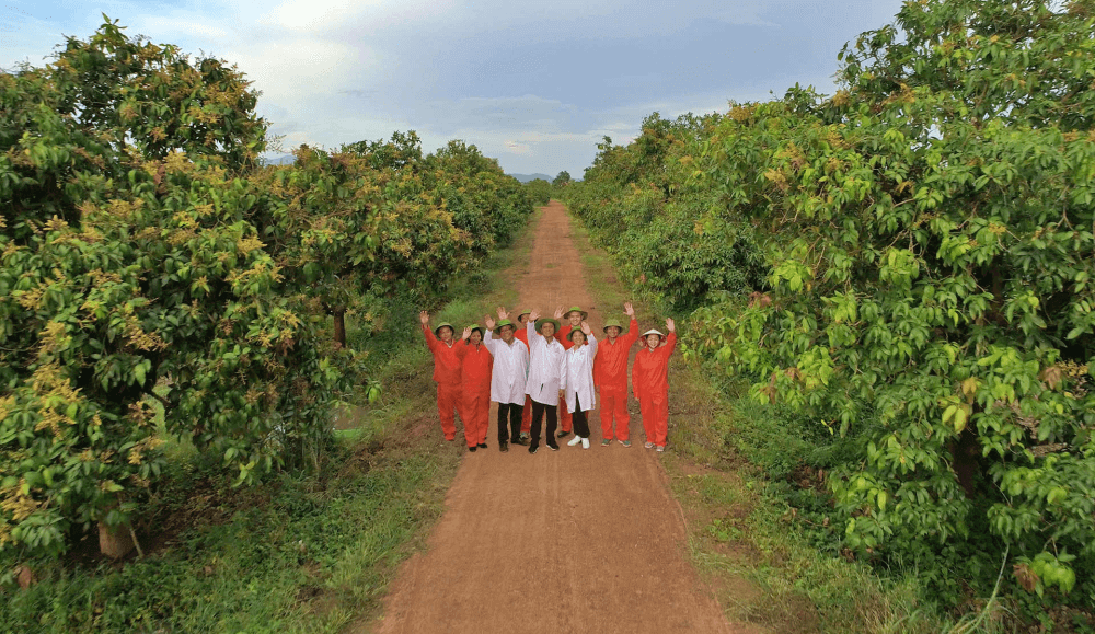 The Nafoods Fresh Fruit Farm