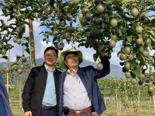 Ghi nhận tại hội thảo giới thiệu và đánh giá các giống chanh leo mới do Nafoods nghiên cứu và sản xuất