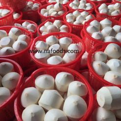 Fresh Coconut - Dừa - 新鲜椰子