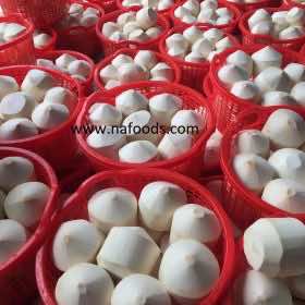 Fresh Coconut - Dừa - 新鲜椰子