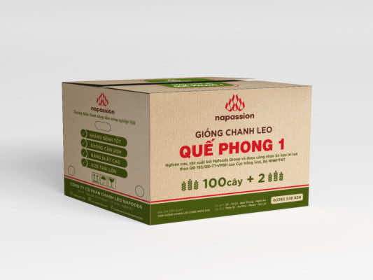 Nhận diện thùng giống chanh leo mới: Giống Quế Phong 1