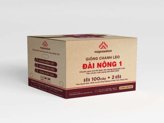 Nhận diện thùng giống chanh leo mới: Giống Đài Nông 1