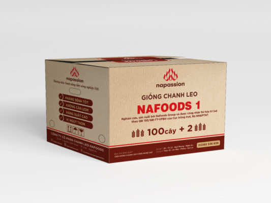 Nhận diện thùng giống chanh leo mới: Giống Nafoods 1