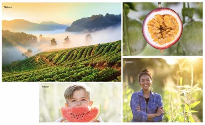 Nafoods Group changed its brand new identity in 2020