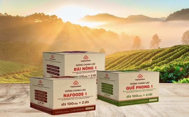 Ba giống chanh leo thương hiệu Nafoods được bảo hộ năm 2019