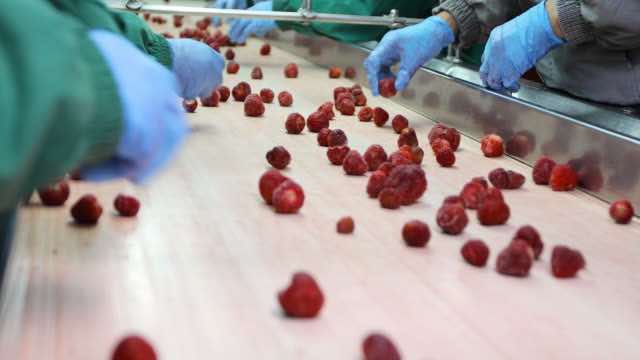 IQF freezing technology is a popular method of cooling in the food industry (Photo source: Getty Images)