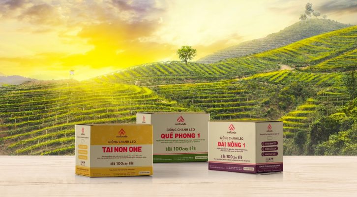 Nafoods Group vẫn ước đạt tăng trưởng cao trong Quý III năm 2021;