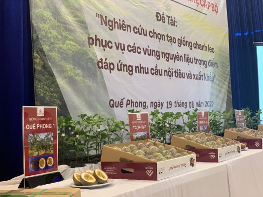 Cây giống và sản phẩm 03 loại giống chanh leo mới tại mô hình trình diễn của đề tài;