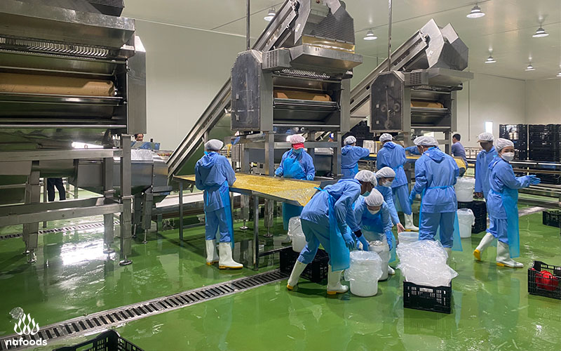 Operation of juice manufacturing line