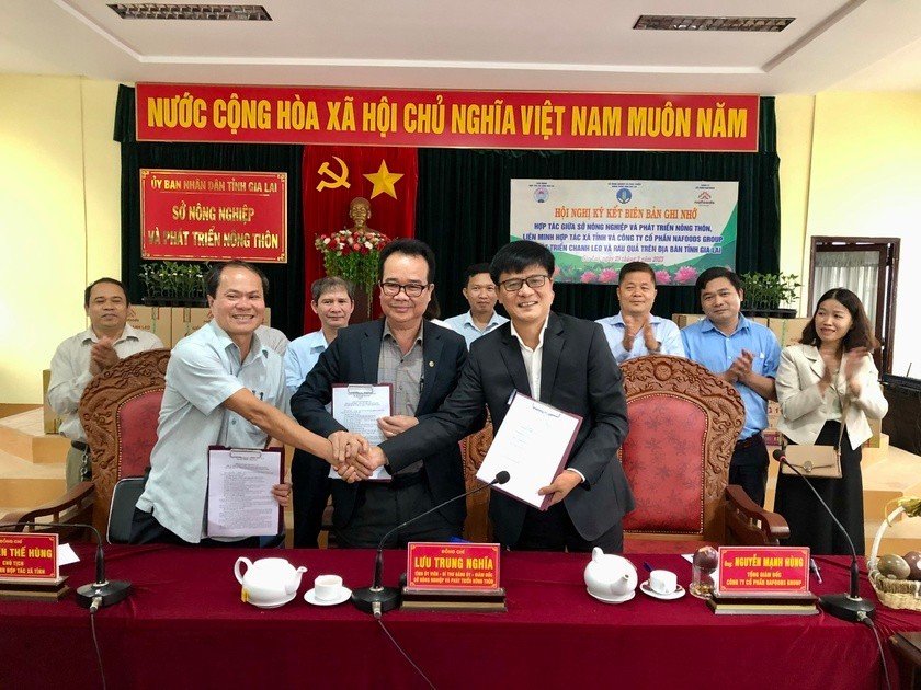 nafoods dau tu phat trien ben vung chanh leo va rau qua tai Gia Lai