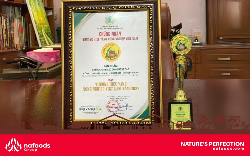 bằng chứng nhận của Nafoods thương hiệu vàng nông nghiệp việt nam năm 2023/Nafoods certificate of Vietnamese agricultural gold brand in 2023