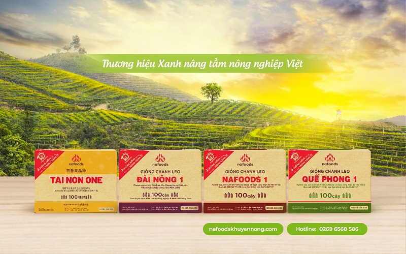 4 loại cây giống chanh leo của công ty cổ phần chanh leo nafoods/4 types of passion fruit seedlings from nafoods passion fruit joint stock company