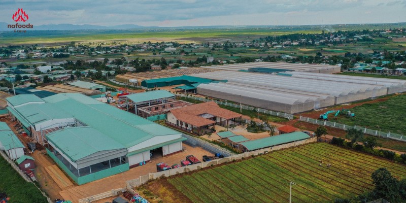 Nafoods group hướng đến mục tiêu phát triển bền vững/Nafoods Group aims for sustainable development