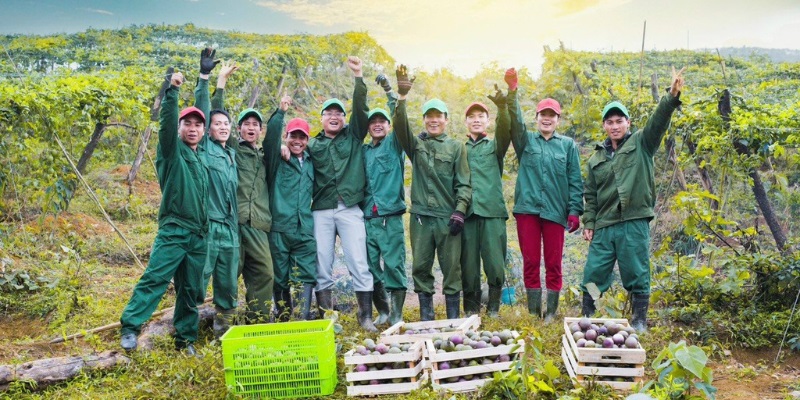 Nafoods group quyết tâm phát triển bền vững chanh leo và rau quả tại gia lai