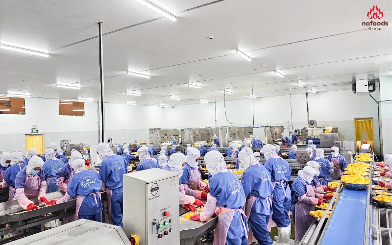 tập thể công nhân tại nhà máy sản xuất của Nafoods Group