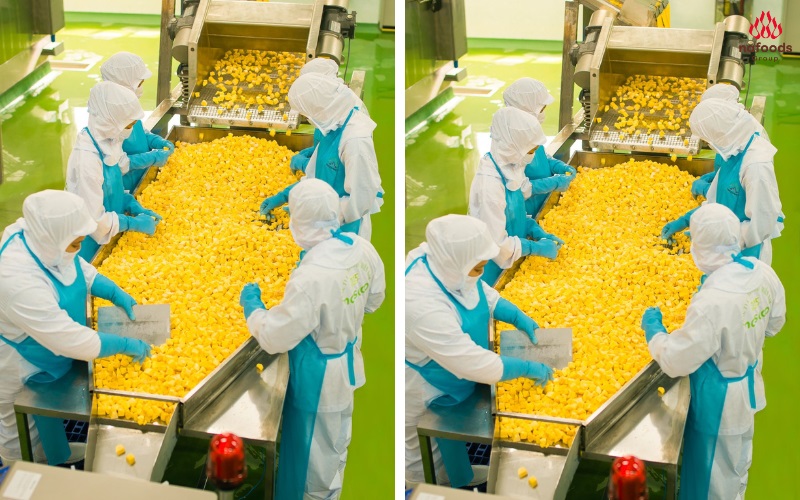 Hình ảnh công nhân nhà máy sản xuất nafoods