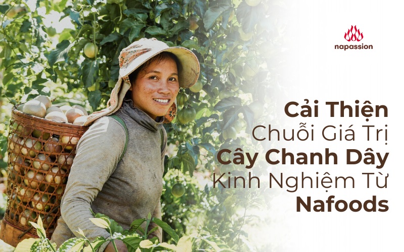cải thiện chuỗi giá trị chanh dây kinh nghiệm từ nafoods