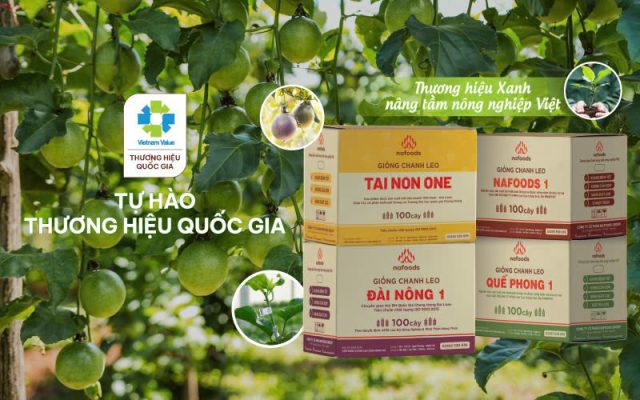 Sản phẩm Nafoods Group được công nhận Thương hiệu Quốc gia 2024