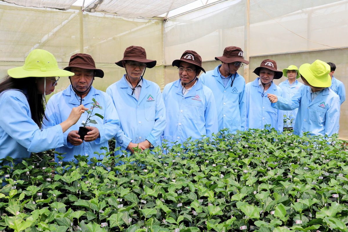 Nafoods Group Welcomes the Delegation from Nghe An Provincial People's Committee