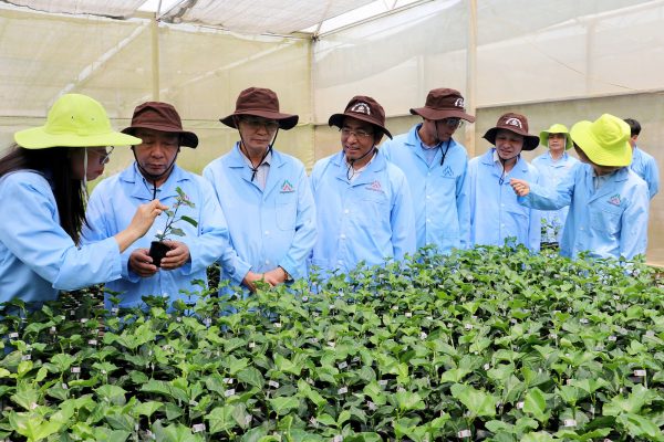 On March 26, 2025, Nafoods Group had the honor of welcoming the delegation from the Nghe An Provincial People's Committee to work at the Nafoods Institute of High-Tech Agricultural Research and Development, located in Tri Le Commune, Que Phong District, Nghe An Province.