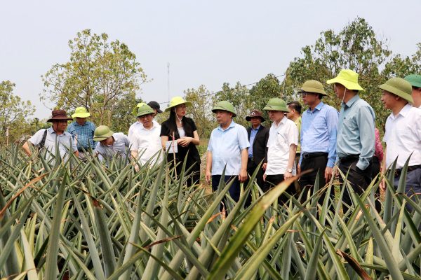 On March 26, 2025, Nafoods Group had the honor of welcoming the delegation from the Nghe An Provincial People's Committee to work at the Nafoods Institute of High-Tech Agricultural Research and Development, located in Tri Le Commune, Que Phong District, Nghe An Province.