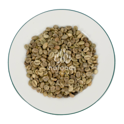 Green coffee beans Grade 1 Screen 16 - Cleaned