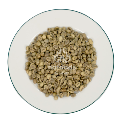 Green coffee beans Grade 1 Screen 16 - Wet polished