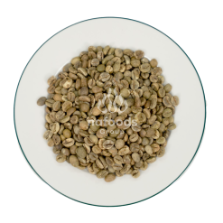 Green coffee beans Grade 1 Screen 18 - Wet polished