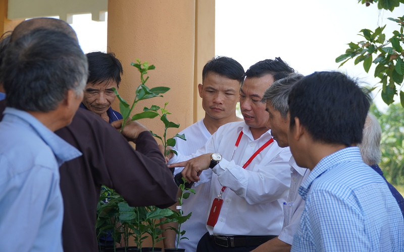 Nafoods giới thiệu cây giống chanh leo tại Hội thảo